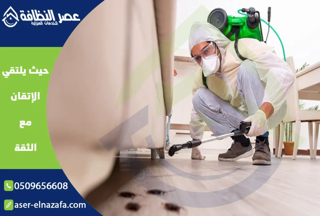 أفضل شركة مكافحة حشرات بخميس مشيط