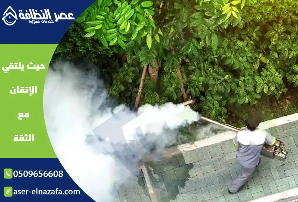أرخص شركة مكافحة حشرات بخميس مشيط